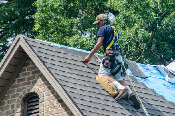 Best Roof Gutter Cleaning  in Grace, ID